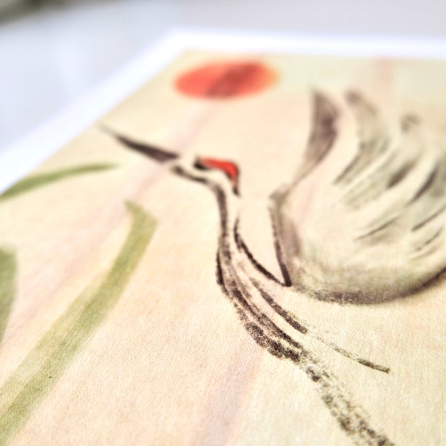 Korean Crane